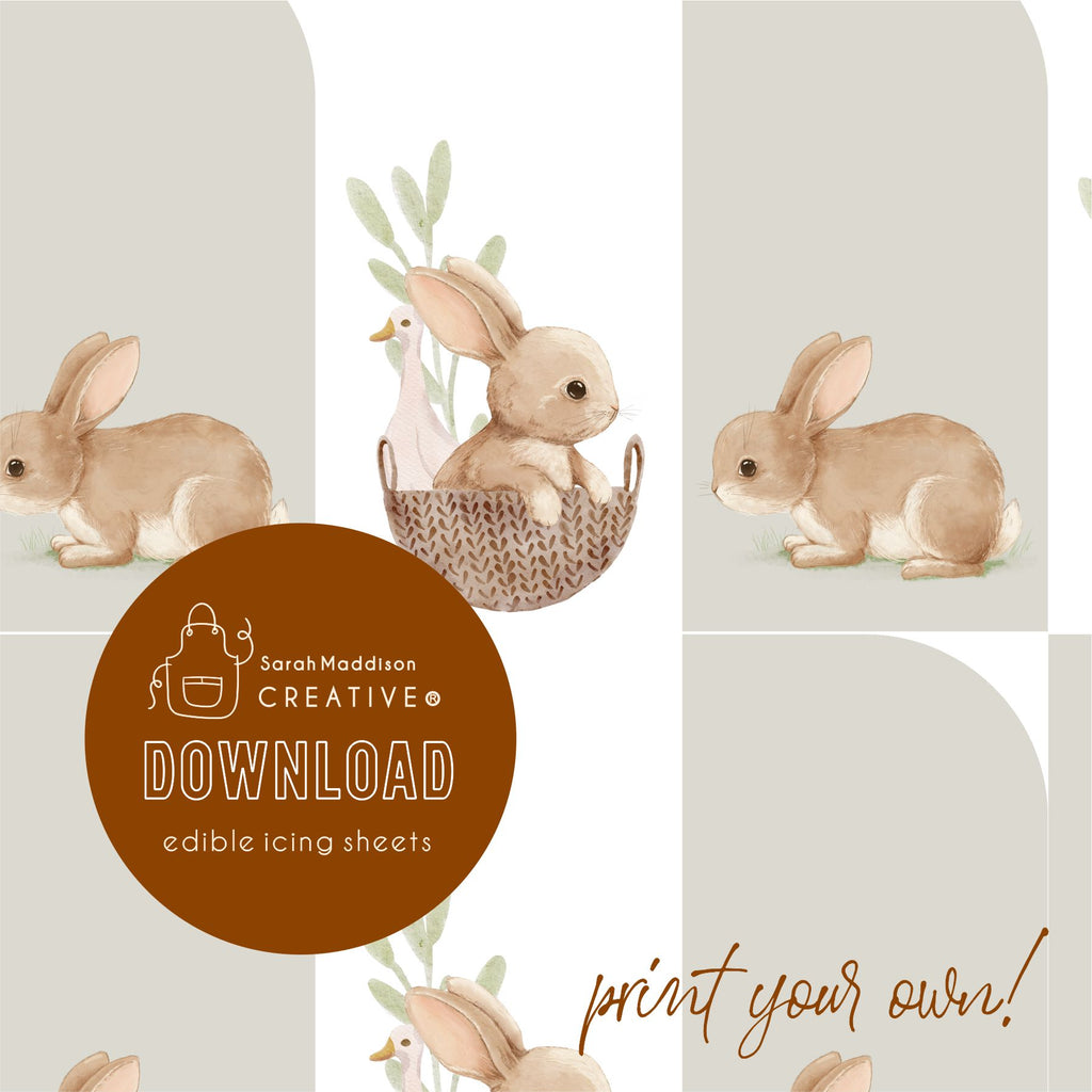 DIGITAL  Bunny In Basket Set Icing Sheet Download